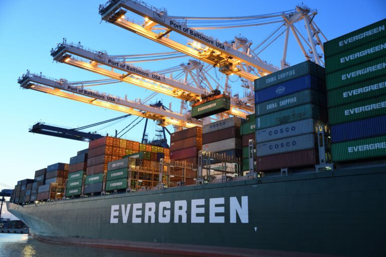EU Export and Import